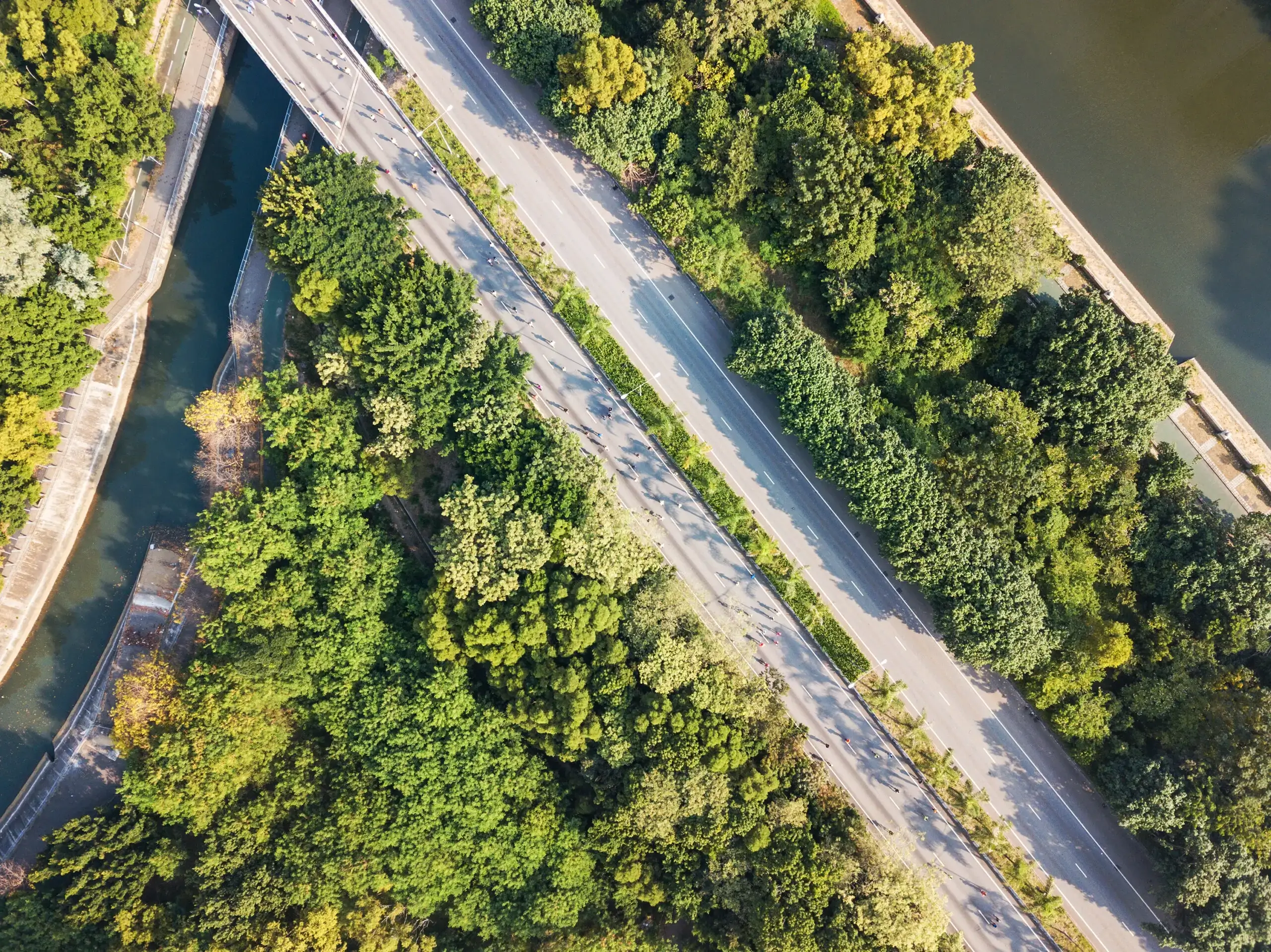 Top-down drone topographic survey of a road and terrain
